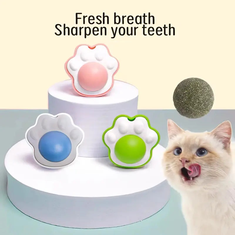 The Interactive Cat Toy Bundle