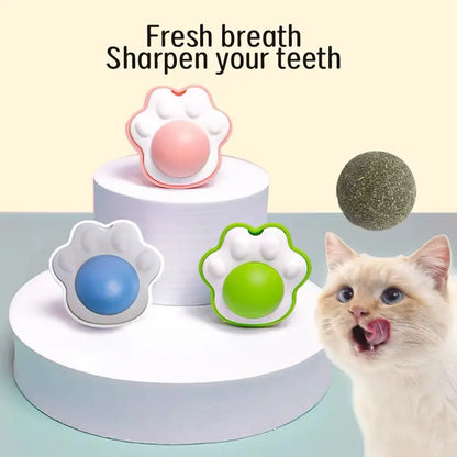 The Interactive Cat Toy Bundle