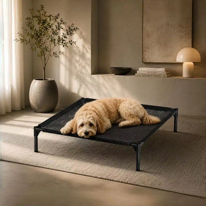 Elevated Cooling Puppy Bed - Breathable Fabric, Durable Raised Pet Cot for Giant Dogs up to 120 Lbs, Indoor & Outdoor Use, Promotes Overall Health, Boosts Airflow, Heat Resistant for Quality Sleep