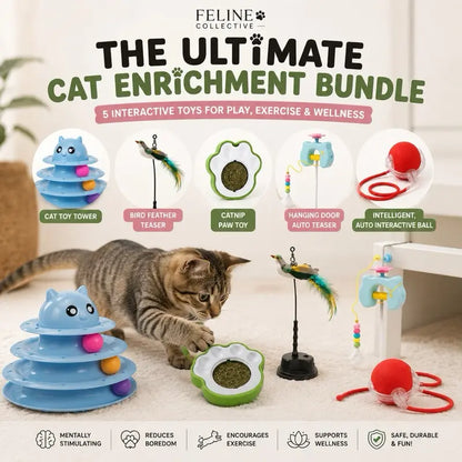 The Interactive Cat Toy Bundle