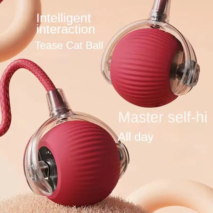 The Interactive Cat Toy Bundle